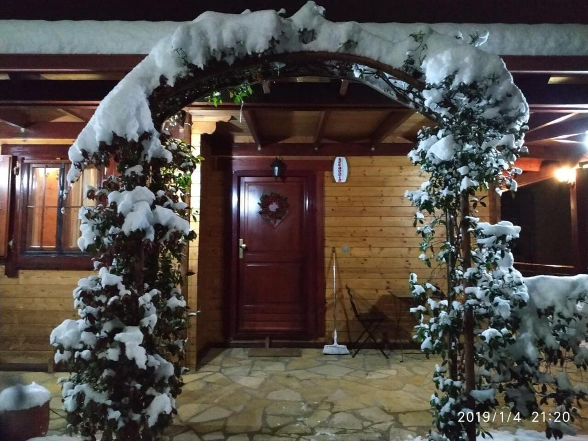 Wooden House In Ioannina Apartment Exterior photo